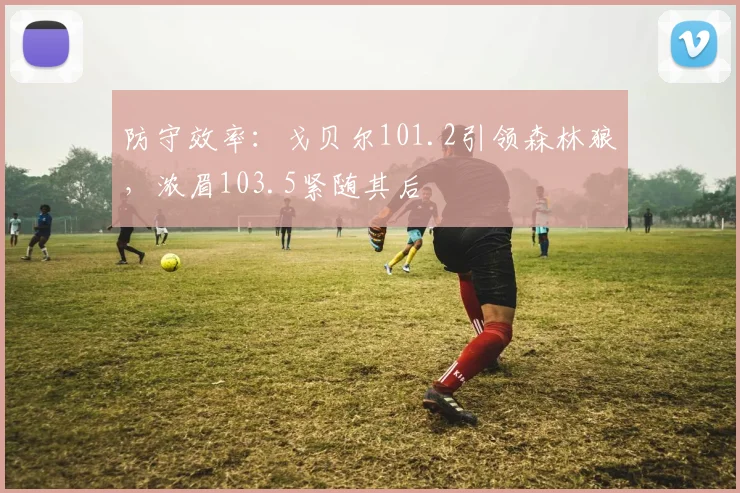 防守效率:戈贝尔101.2引领森林狼,浓眉103.5紧随其后
